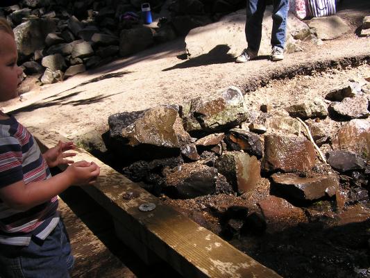 Noah throwing in some rocks