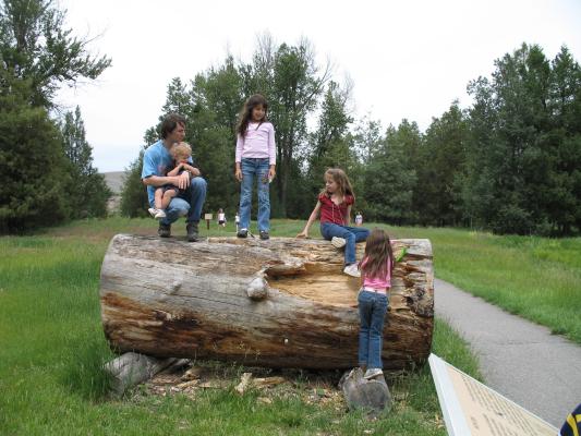 Kids playing on a big log.