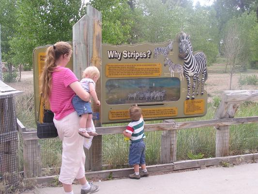 Katie nad Sarah watch Noah play with the zebra
