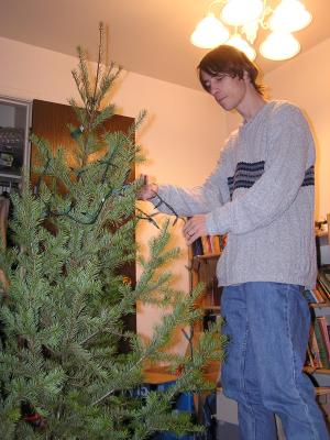 David puts some lights on the Christmas tree.