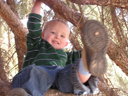 Noah in  the tree. It's his Shoe!