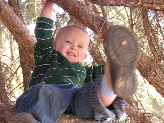 Noah in  the tree. It's his Shoe!