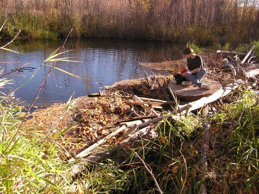 David and Noah explore the mysteries of the beaver dam.