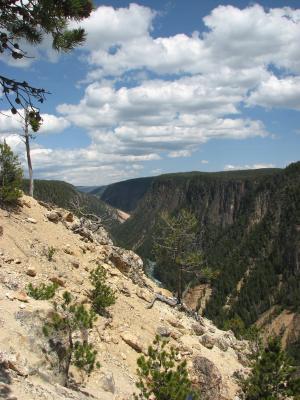 Yellowstone River canyon.