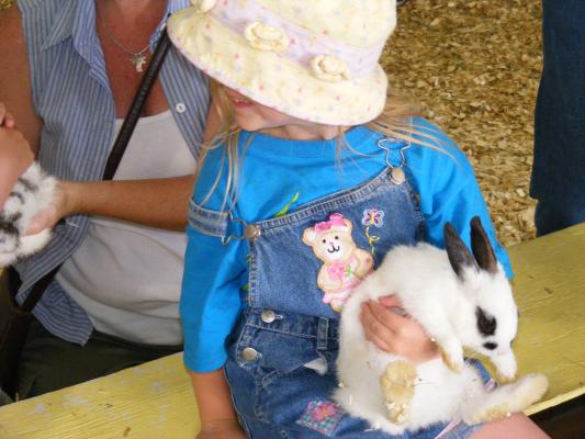 Sarah hods a bunny at at the fair.