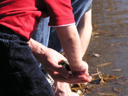 Noah and David like to play with rocks.