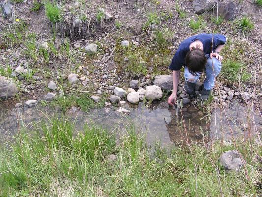 David looks for some good rocks.