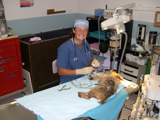 Heather at work in the Army