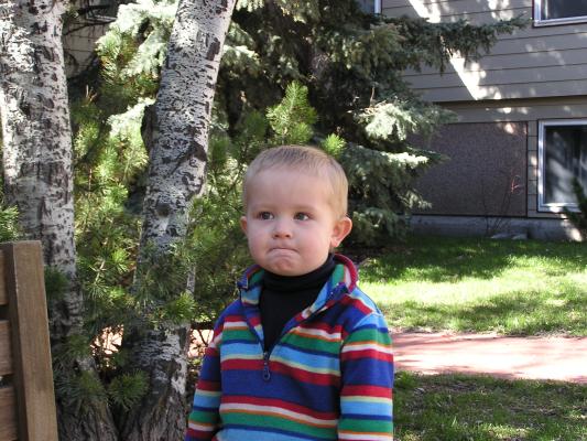 It's Noah!