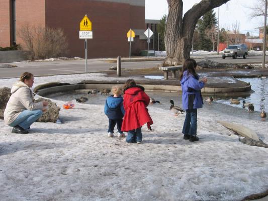 Katie, Noah, Andrea and Malia feed the ducks.