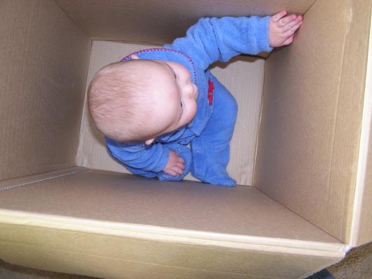 Noah in the box.