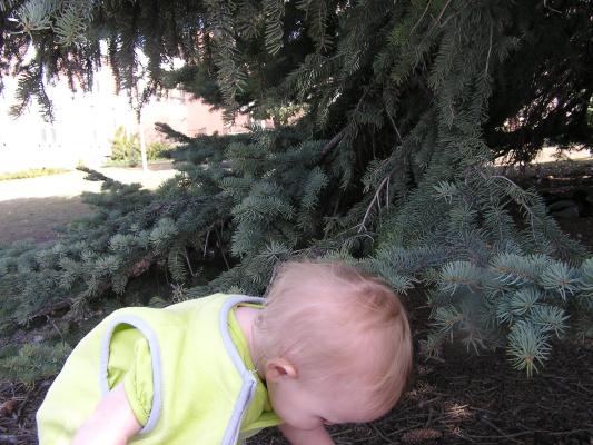 Sarah looks at Duck droppings.