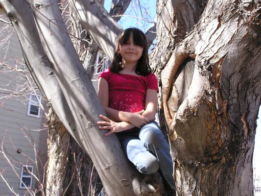 Malia climbs a tree.