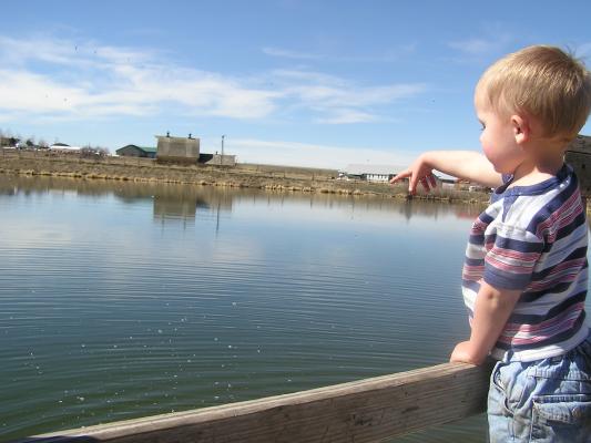 Noah throws rocks off the dock.