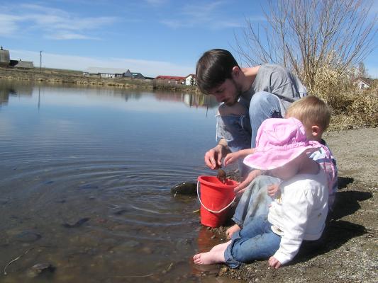 David, Noah and Sarah put rocks in a bucket.