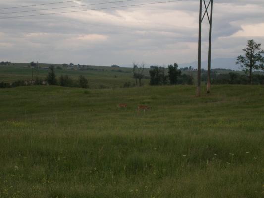 More deer on the Bison Range.