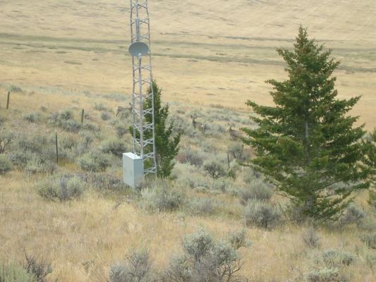 Deer Bridger Canyon