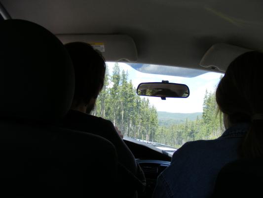 Noah's photo of the drive.