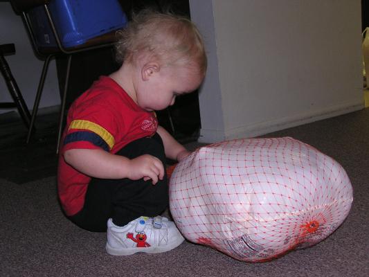It's our free turkey from the grocery store.
