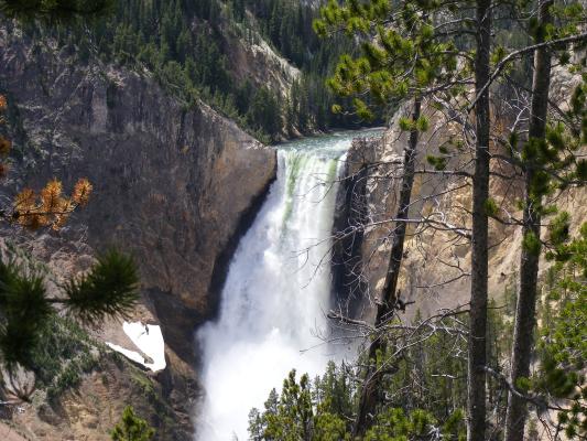 Yellowstone Falls.
