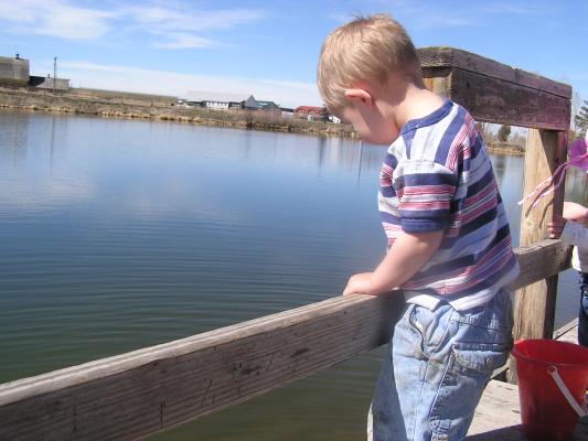 Noah throws rocks off the dock.