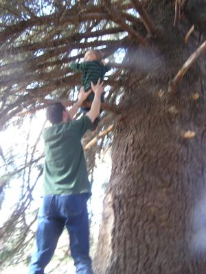 David helps Noah climb the tree.