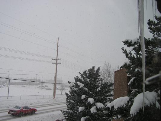Look at our long icecicle ===>>>