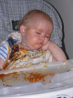After a good meal, it's nap time.