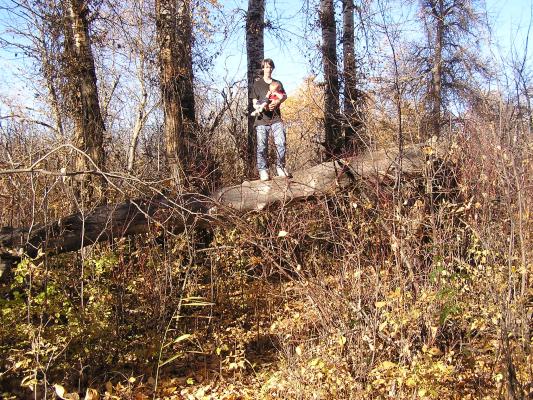David and Noah climbed up on a fallen log.