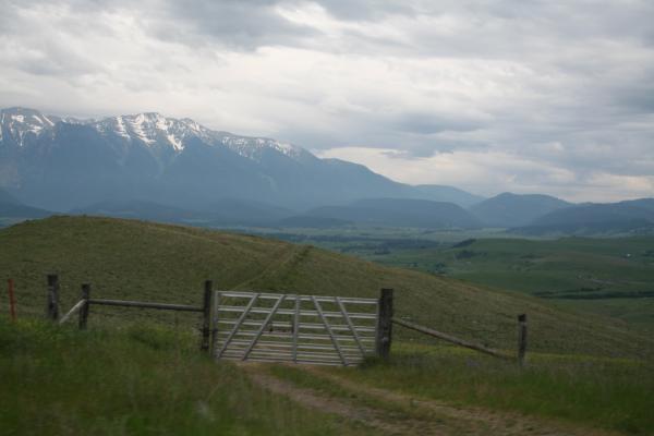 The gate.