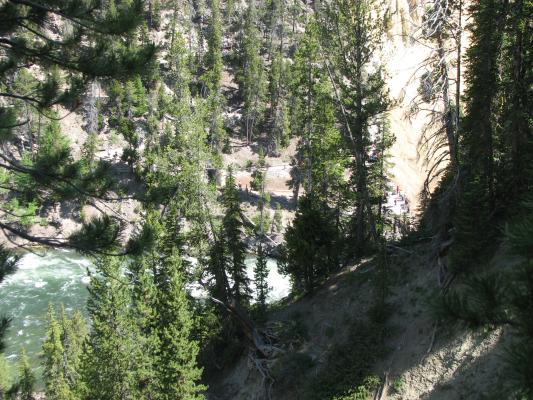 River in yellowstone