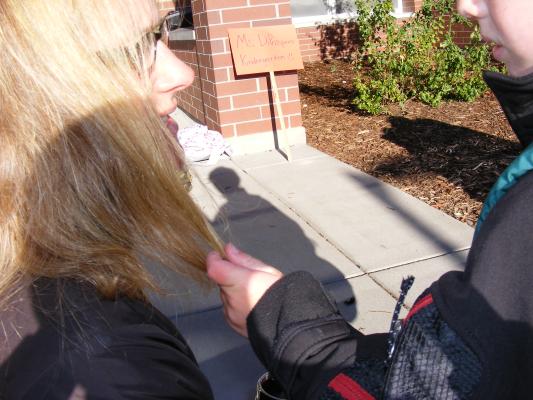 Noah's photos