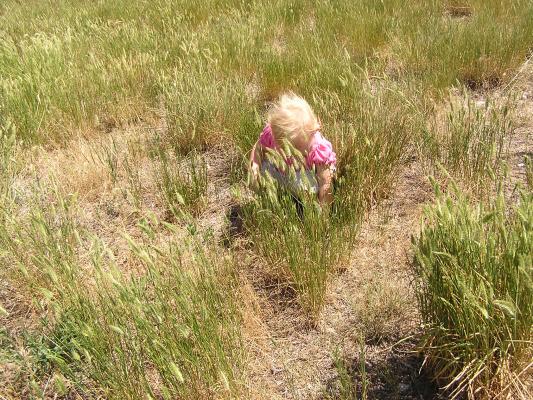 Sarah plays in the grass
