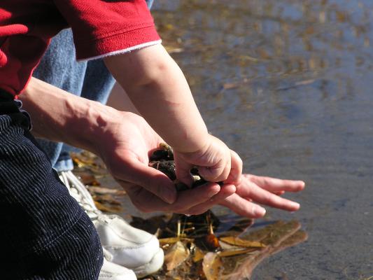 Noah and David like to play with rocks.