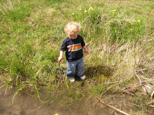 Noah puts his stick in the water.