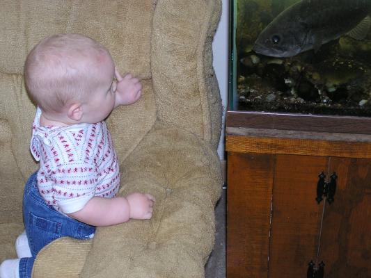 Fish: You don't know someone by the name of Jonah Do you?