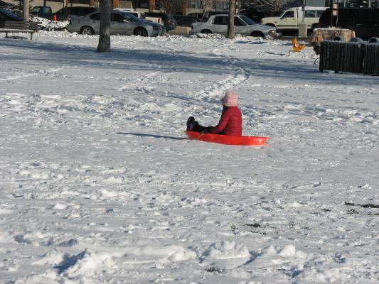 Andrea sledding
