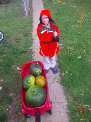 Noah. Our pumpkins were green.