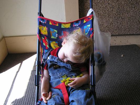 Noah is asleep in the stroller.