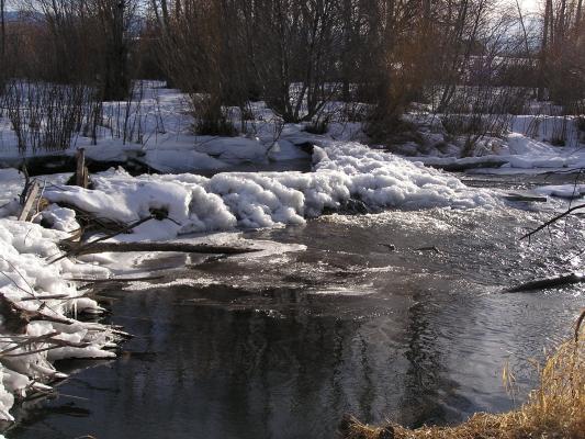 It's a very frozen, but thawing beaver dam.