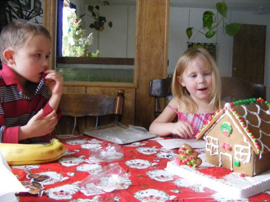 Noah and Sarah build a gingerbread house.