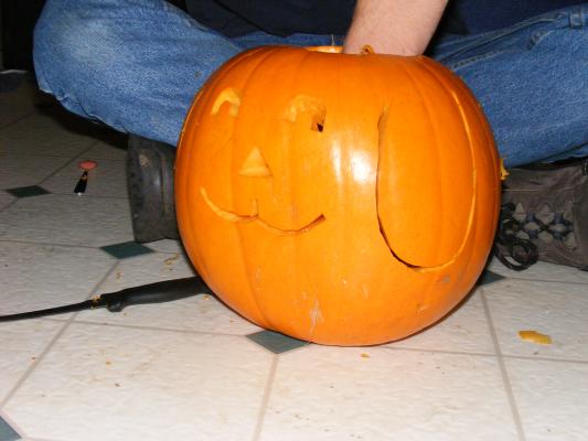 Dog pumpkin