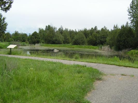 The nature trail at the Bison Range.