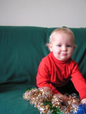 taking Christmas photos.