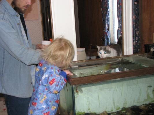 David, Sarah and Nimbus investigate the fish tank.