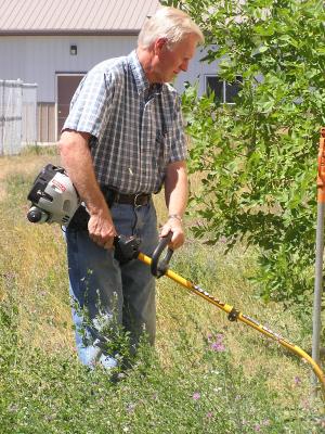 Wacking the weeds.