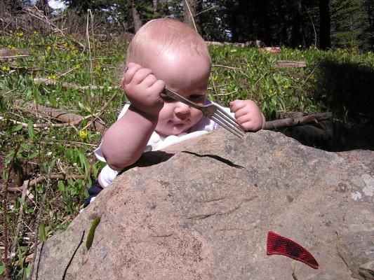 Noah likes to eat rocks.