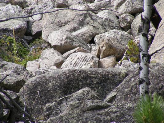 rocks