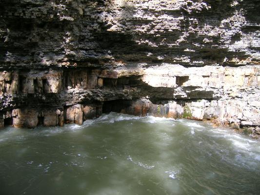 Rock layers not formed over billions of years of evolutionary mutations.