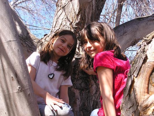 Andrea and Malia climb a tree.